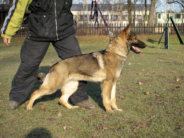 Hyza